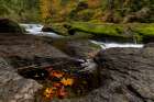 Lower Lewis River Falls in autumn in the Gifford Pinchot National Forest, Washington State, USA Art Print